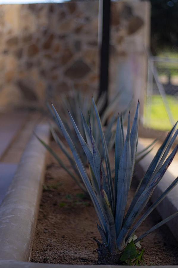 Catrina Valle - Ubicacion 10 Valle de Guadalupe Ngoại thất bức ảnh